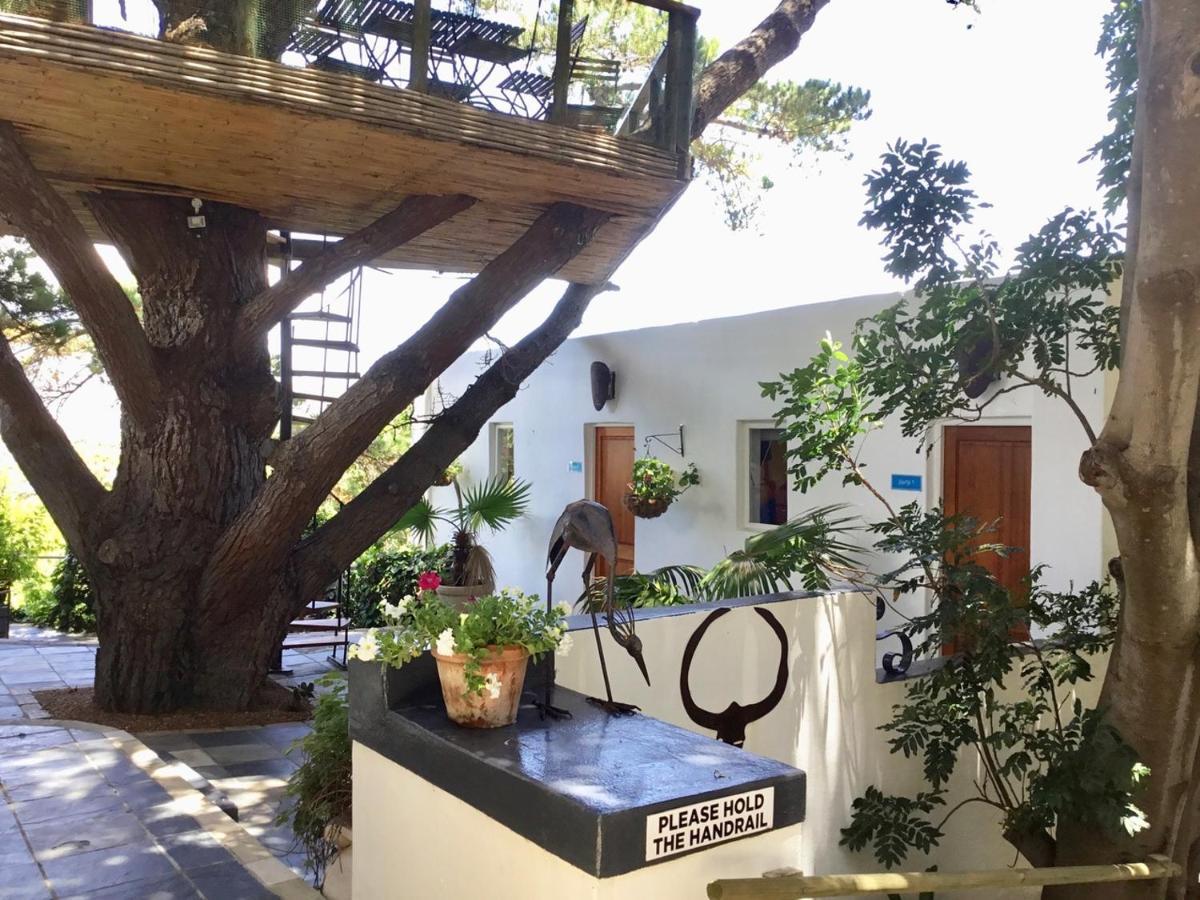 Oceangolf Guest House Noordhoek Exterior foto