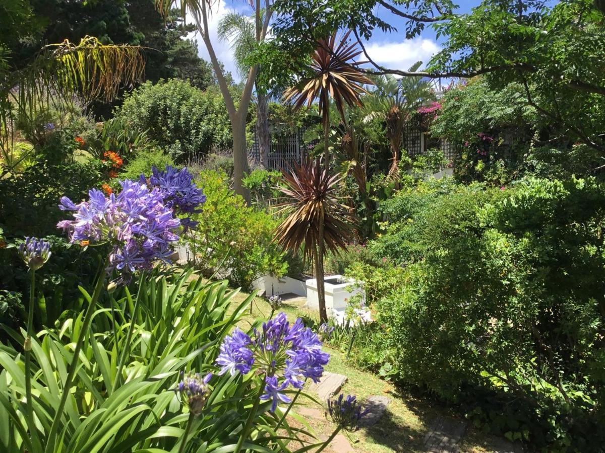 Oceangolf Guest House Noordhoek Exterior foto