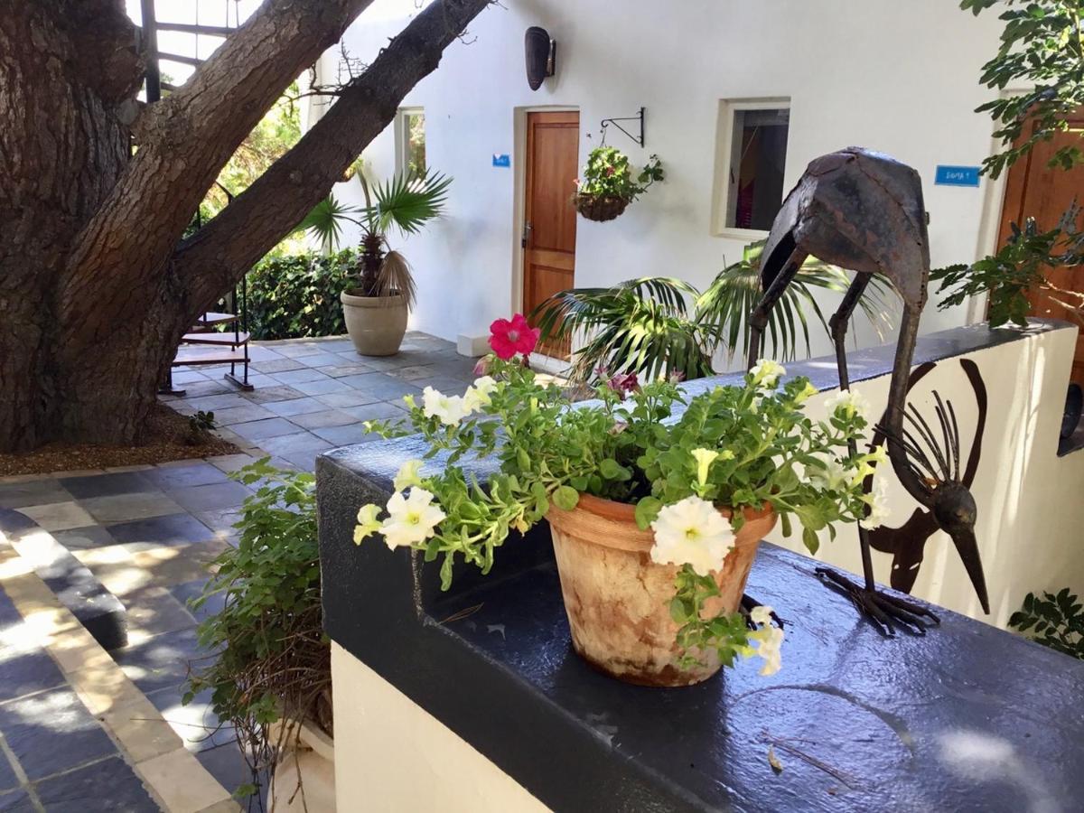 Oceangolf Guest House Noordhoek Exterior foto