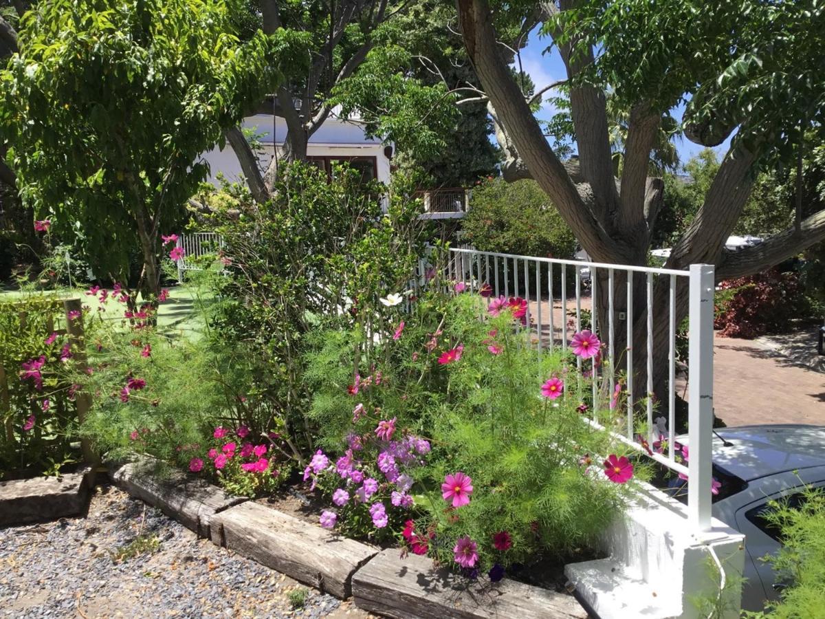 Oceangolf Guest House Noordhoek Exterior foto