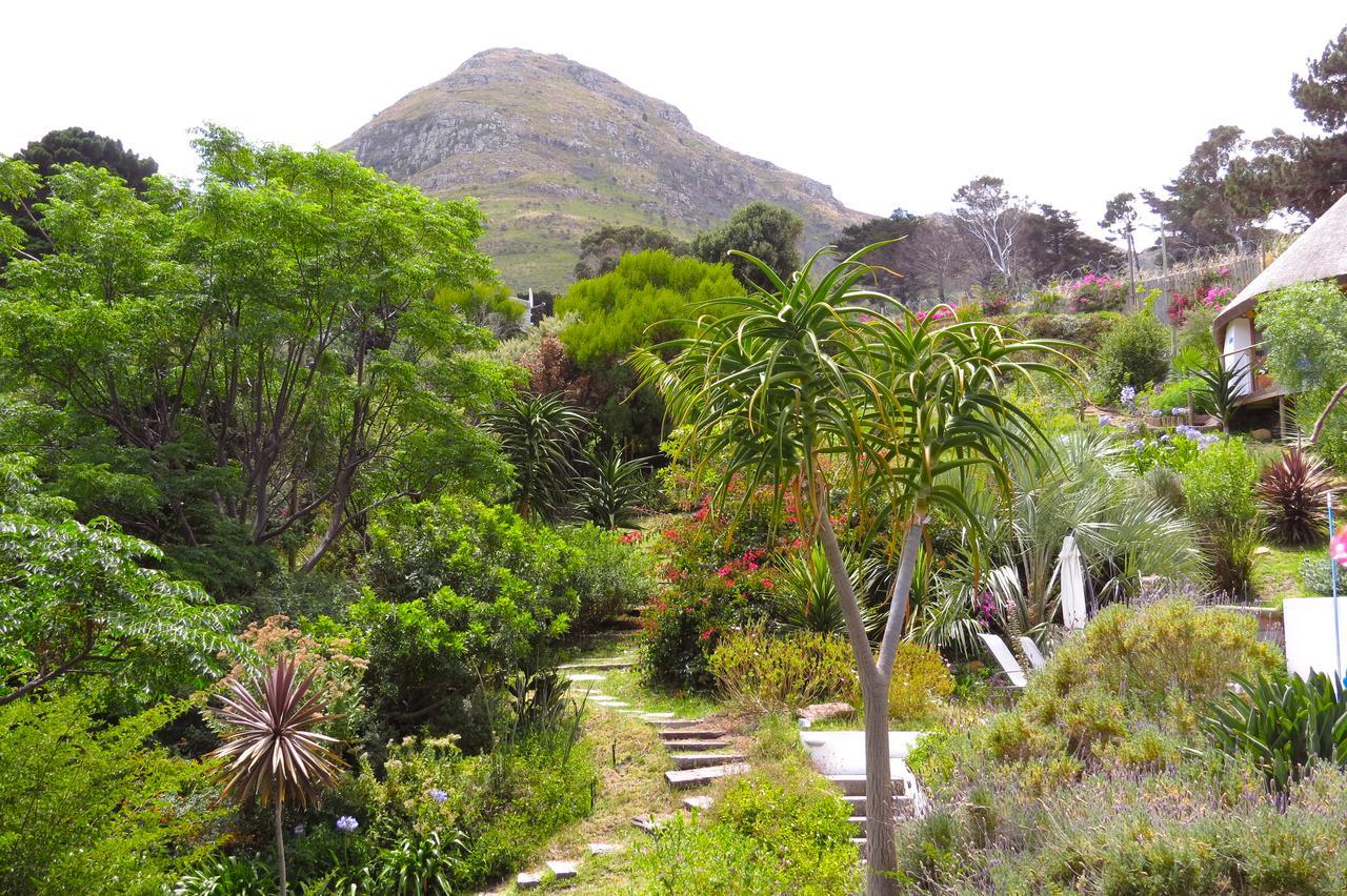 Oceangolf Guest House Noordhoek Exterior foto